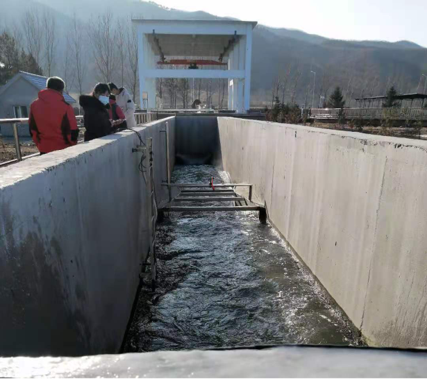 买球赛的app官网