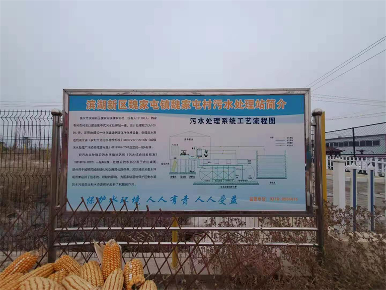 买球赛的app官网