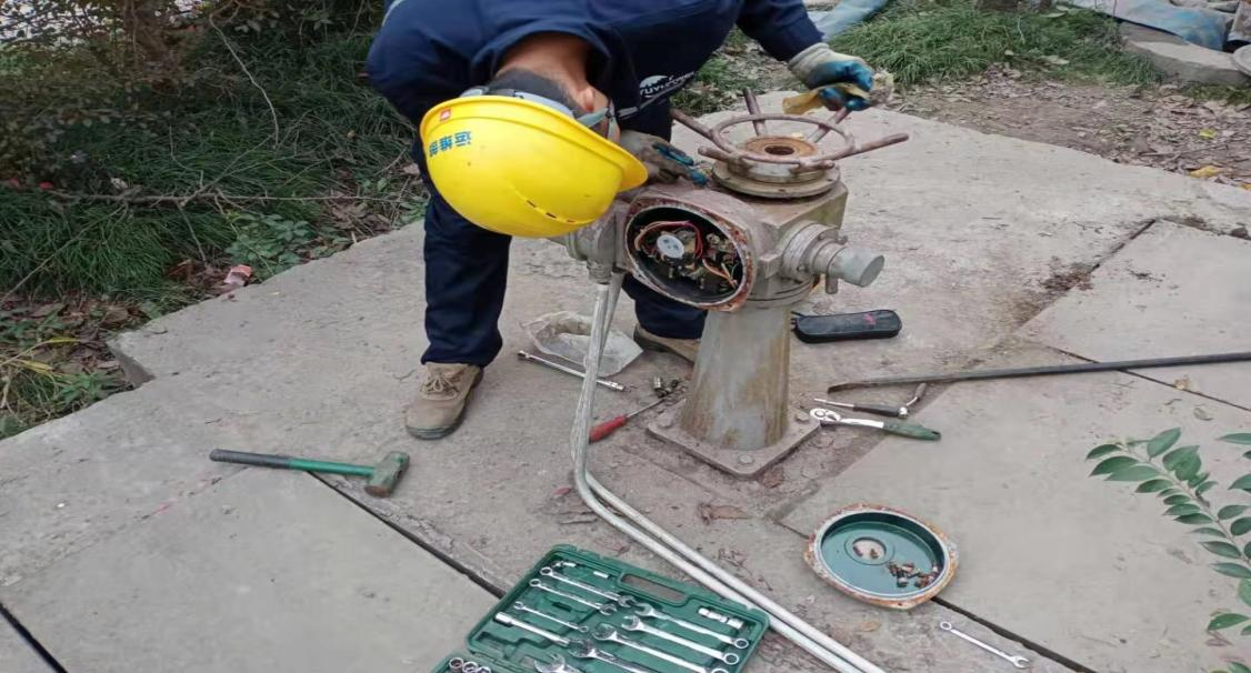 买球赛的app官网